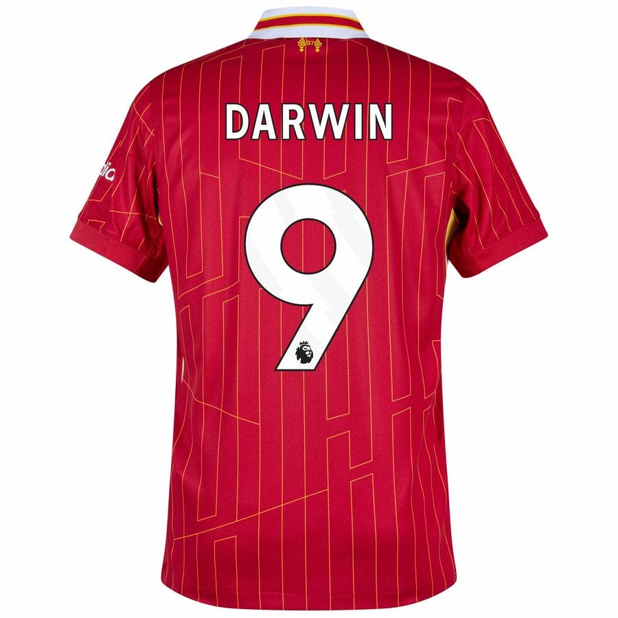 Maillot Liverpool Domicile 2024 2025 Darwin – Image 2