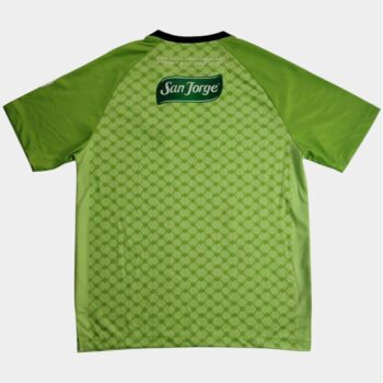 Alternative view of Maillot Palestine Special Edition 2025 2026 Vert