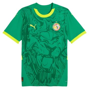 Alternative view of Maillot Kit Enfant Senegal Exterieur 2024 2025