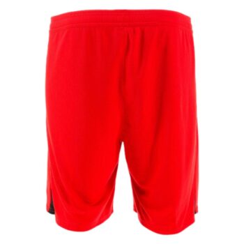 Alternative view of Short RC Lens Domicile 2024 2025